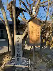 薬常寺の庭園