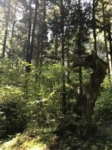 御岩神社の自然