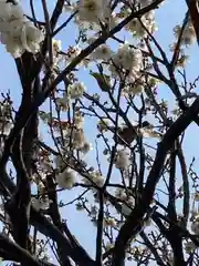 曽根天満宮の庭園