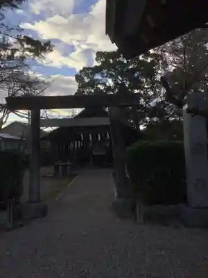 津島神社の鳥居