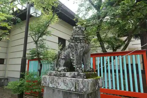 宮城縣護國神社の狛犬