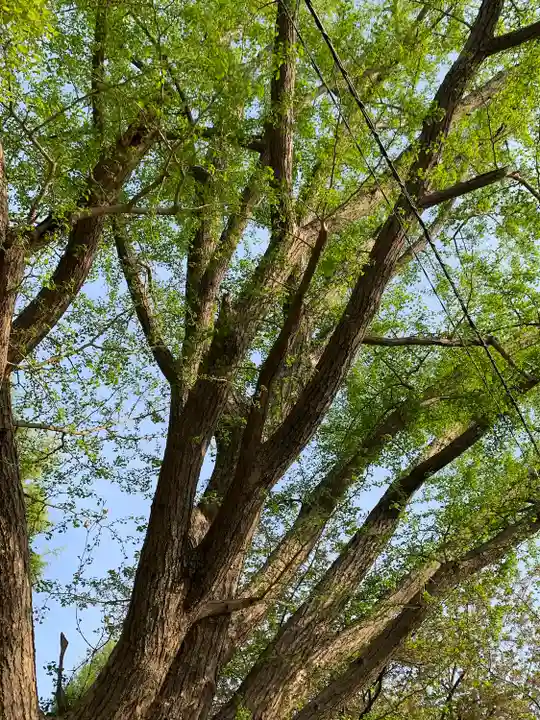 横浜 西方寺の自然