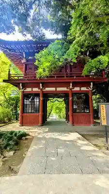 本土寺の山門・神門