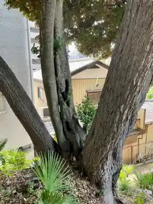 岩山稲荷神社(千葉県)