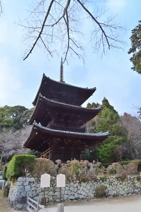 園城寺(三井寺)(滋賀県)
