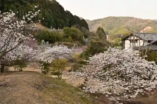 実報寺(愛媛県)