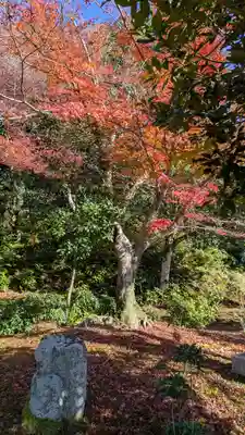 法金剛院(京都府)