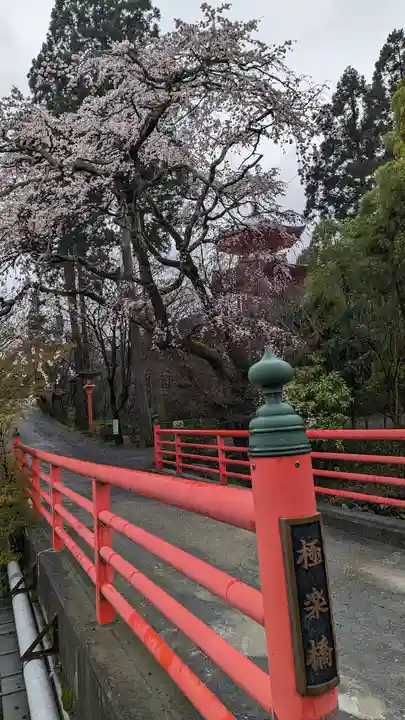 正法寺(京都府)