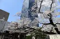 常圓寺(東京都)