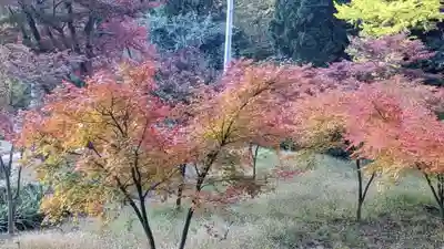 妙義神社(群馬県)