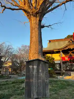 大洞院(千葉県)