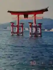 厳島神社の鳥居