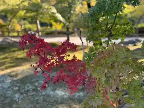 東福禅寺（東福寺）(京都府)
