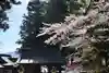 河口浅間神社(山梨県)