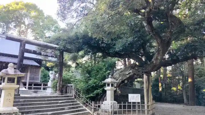 莫越山神社(千葉県)