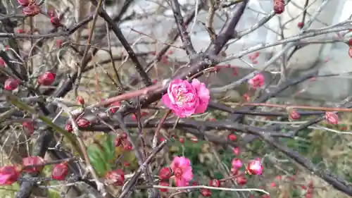 住吉神社の自然