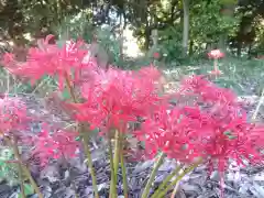 江守神社(福井県)