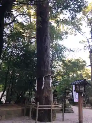 石上神宮のその他建物
