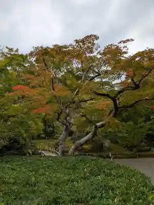 宝厳院(京都府)
