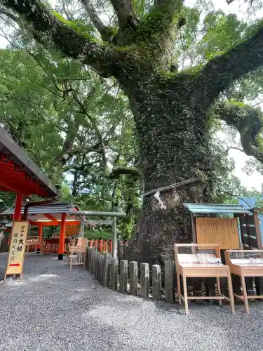 熊野那智大社(和歌山県)