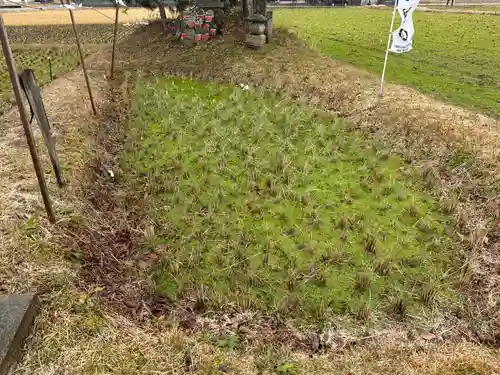 比沼麻奈為神社(京都府)