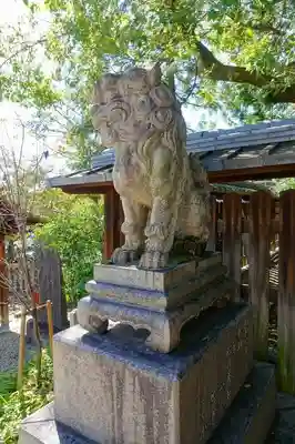 離宮八幡宮の狛犬