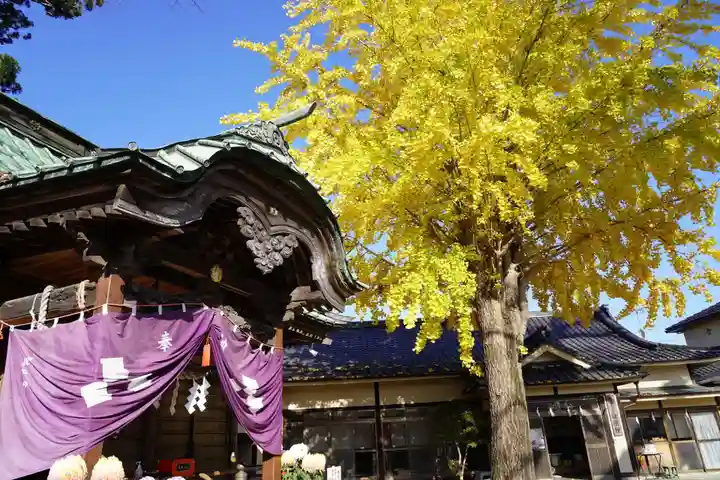 鹿島御子神社の自然