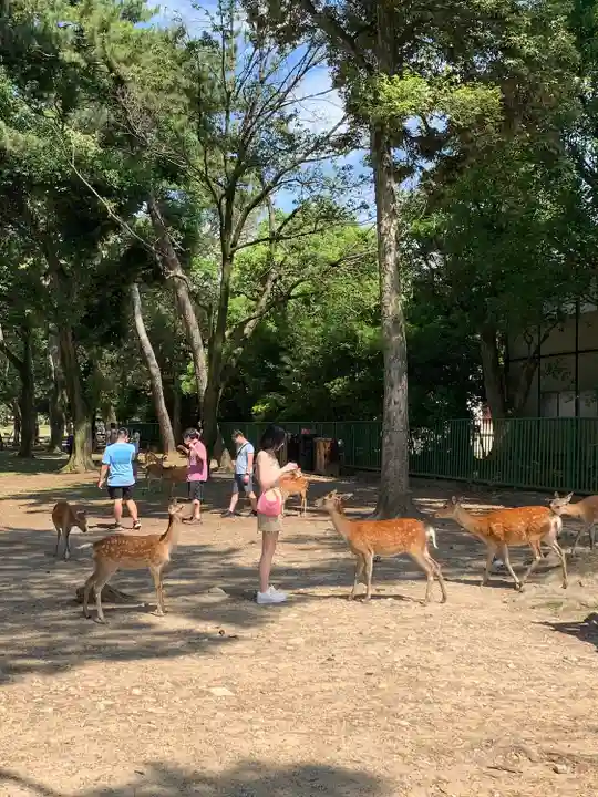 興福寺(奈良県)