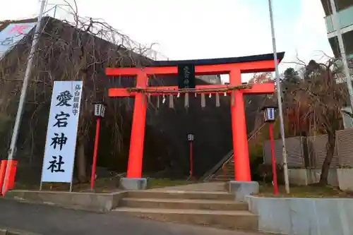 愛宕神社の鳥居