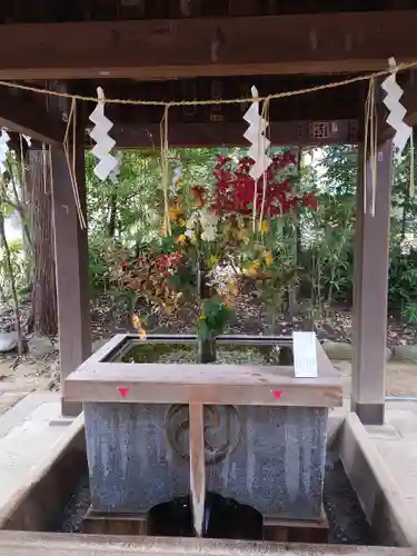 赤坂氷川神社(東京都)