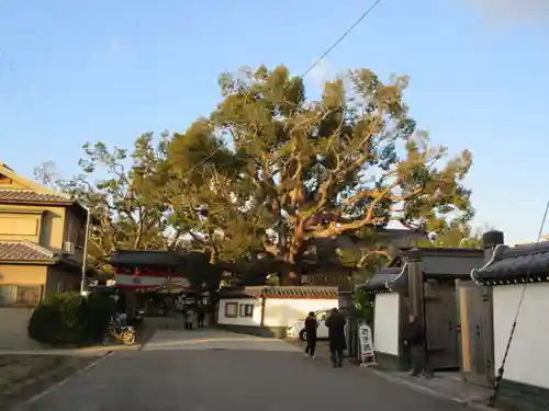 大聖観音寺（あびこ観音）(大阪府)