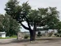 真浄寺(北海道)