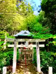 伊保田神社(茨城県)