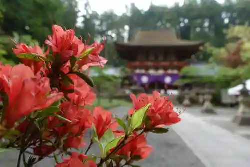 丹生都比売神社の自然