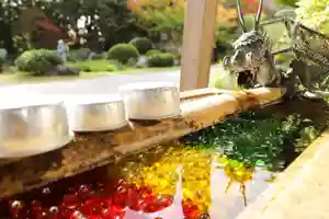 温泉山 安楽寺(四国霊場第六番札所)の手水舎(2021年11月22日(月) 21時45分41秒投稿)