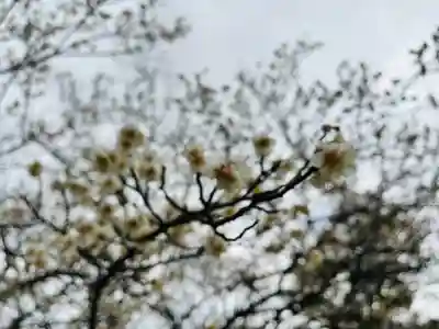 石清水八幡宮(京都府)