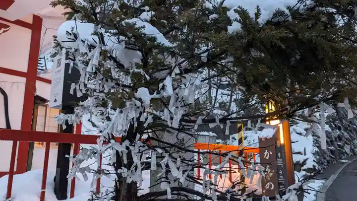 岩戸観音堂のおみくじ