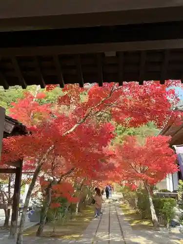 永興寺の建物その他