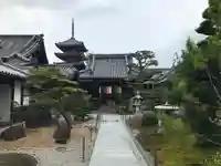 圓通寺の本殿・本堂