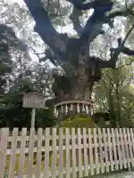 熱田神宮の{uncategorized: "未分類", other: "その他", undefined: "問題あり", building: "その他建物", grave: "お墓", sacred_gate: "鳥居", guardian: "狛犬", statue: "像", buddha: "仏像", history: "歴史", nature: "自然", garden: "庭園", animal: "動物", pagoda: "塔", temizu: "手水舎", mountain_gate: "山門・神門", sanctuary: "本殿・本堂", subordinate: "末社・摂社", art: "芸術", scenery: "景色", jizo: "地蔵", ema: "絵馬", goshuin: "御朱印", omikuji: "おみくじ", items: "授与品その他", amulet: "お守り", goshuincho: "御朱印帳", eats: "食事", festival: "お祭り", votive_dance: "神楽", shichigosan: "七五三参", wedding: "結婚式", experience: "体験その他", initially: "初詣", around: "周辺", anti_infection: "感染症対策"}