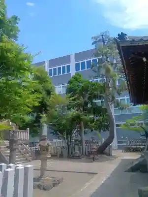 北野神社の{uncategorized: "未分類", other: "その他", undefined: "問題あり", building: "その他建物", grave: "お墓", sacred_gate: "鳥居", guardian: "狛犬", statue: "像", buddha: "仏像", history: "歴史", nature: "自然", garden: "庭園", animal: "動物", pagoda: "塔", temizu: "手水舎", mountain_gate: "山門・神門", sanctuary: "本殿・本堂", subordinate: "末社・摂社", art: "芸術", scenery: "景色", jizo: "地蔵", ema: "絵馬", goshuin: "御朱印", omikuji: "おみくじ", items: "授与品その他", amulet: "お守り", goshuincho: "御朱印帳", eats: "食事", festival: "お祭り", votive_dance: "神楽", shichigosan: "七五三参", wedding: "結婚式", experience: "体験その他", initially: "初詣", around: "周辺", anti_infection: "感染症対策"}