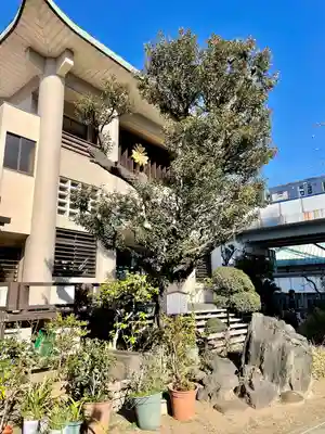 妙蓮寺(東京都)