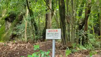 大山祇神社(愛媛県)
