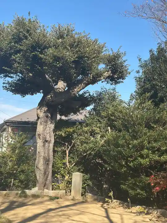 入谷氷川神社(東京都)