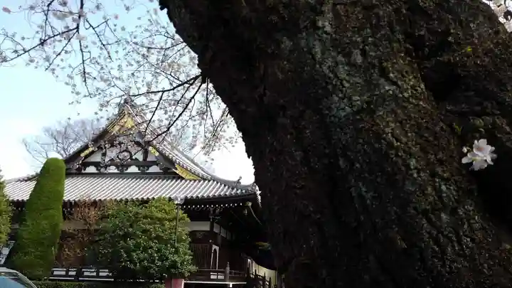總持寺のその他建物