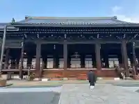 本願寺(西本願寺)の{uncategorized: "未分類", other: "その他", undefined: "問題あり", building: "その他建物", grave: "お墓", sacred_gate: "鳥居", guardian: "狛犬", statue: "像", buddha: "仏像", history: "歴史", nature: "自然", garden: "庭園", animal: "動物", pagoda: "塔", temizu: "手水舎", mountain_gate: "山門・神門", sanctuary: "本殿・本堂", subordinate: "末社・摂社", art: "芸術", scenery: "景色", jizo: "地蔵", ema: "絵馬", goshuin: "御朱印", omikuji: "おみくじ", items: "授与品その他", amulet: "お守り", goshuincho: "御朱印帳", eats: "食事", festival: "お祭り", votive_dance: "神楽", shichigosan: "七五三参", wedding: "結婚式", experience: "体験その他", initially: "初詣", around: "周辺", anti_infection: "感染症対策"}