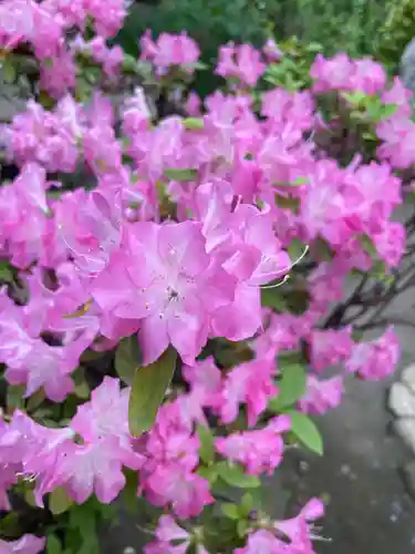 小野照崎神社(東京都)