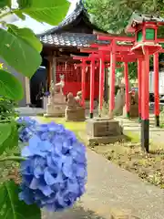 田中稲荷神社の自然