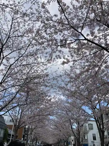 鶴岡八幡宮の景色
