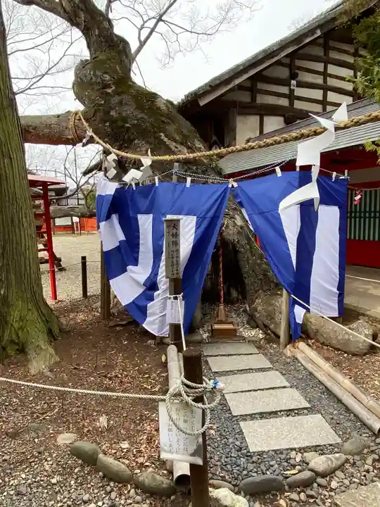 生島足島神社の自然